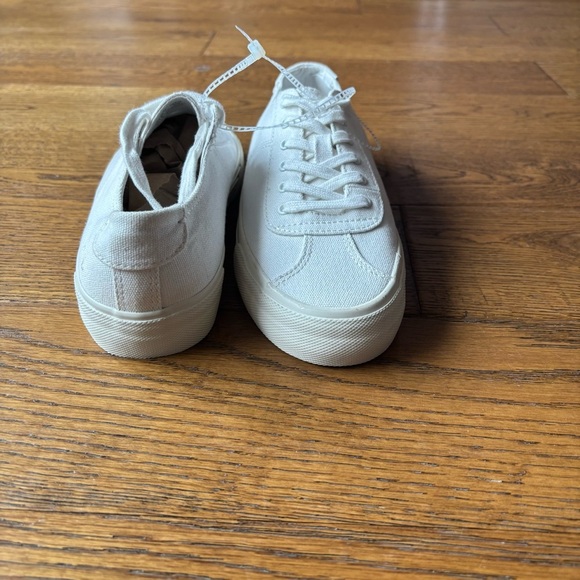 Sidewalk Low-Top Sneakers in Canvas - Picture 12 of 13